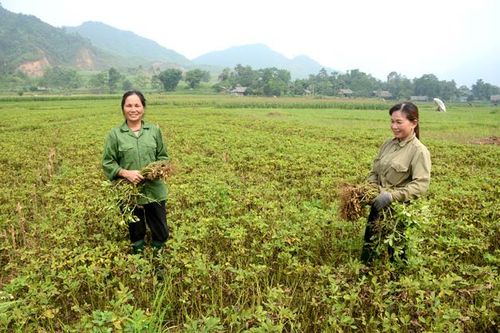 Để ứng dụng khoa học công nghệ bắt nhịp với yêu cầu phát triển