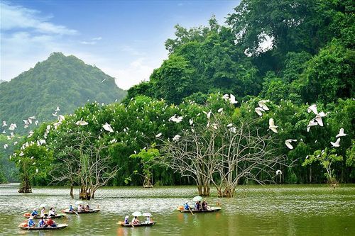 Ngành Du lịch lên kế hoạch đón khách quốc tế: Lấy lại sức bật