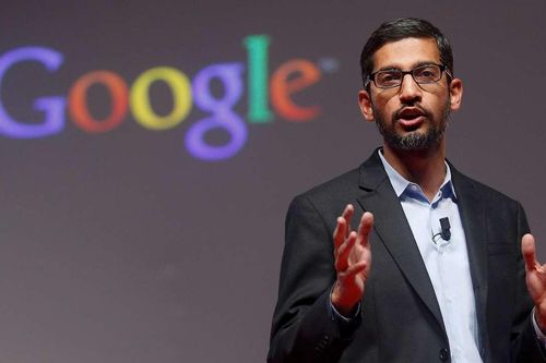 Lý thuyết con gián - góc nhìn độc đáo của CEO Google
