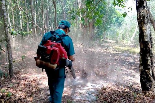 Các địa phương đẩy mạnh phòng, chống cháy rừng