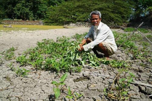 Quay quắt chảo lửa miền Trung: Ao hồ trơ đáy