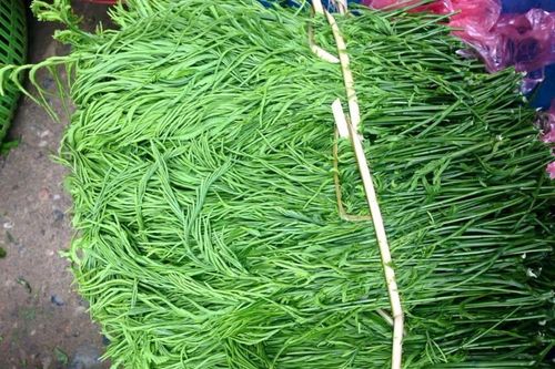 Đứng cách cả mét còn ngửi thấy mùi hôi, loại rau này lại đắt khách