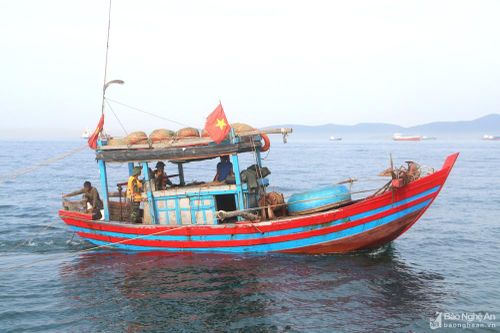 Nghệ An: Xử phạt 'nóng' ngay trên biển 4 tàu cá vi phạm quy định đánh bắt thủy hải sản