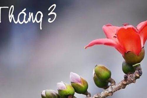 Đoản khúc tháng ba