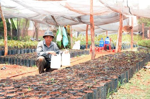 Kiểm tra tính pháp lý của đại lý Tân Quang Phong
