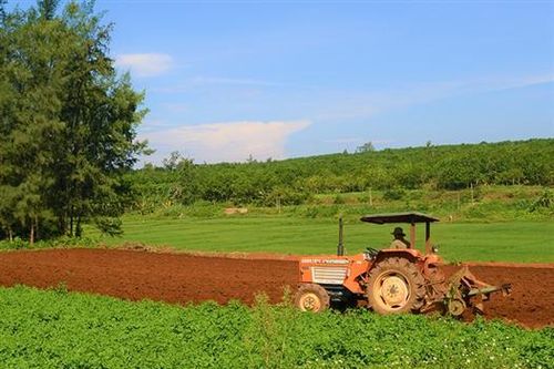 Nhân rộng mô hình sản xuất nông nghiệp ứng dụng công nghệ cao