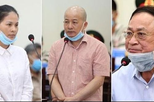 Sếp tông chết người, chỉ đạo lái xe nhận tội thay; đại gia rởm lừa nhà vợ gần 20 tỉ đồng