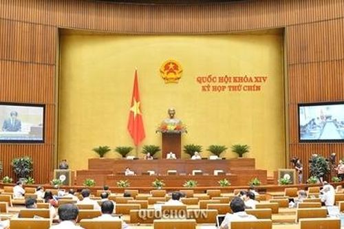 Quy định trách nhiệm chính quyền địa phương, tránh tình trạng phạt cho tồn tại