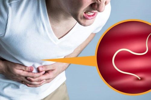 Phòng tránh giun sán như thế nào?