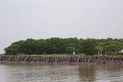 Áo mới Cà Mau