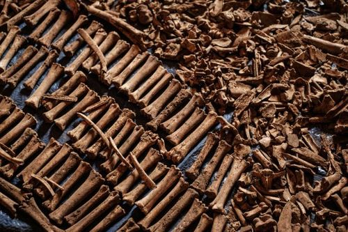 28 danh tính giả và 26 năm lẩn trốn của nghi phạm diệt chủng Rwanda