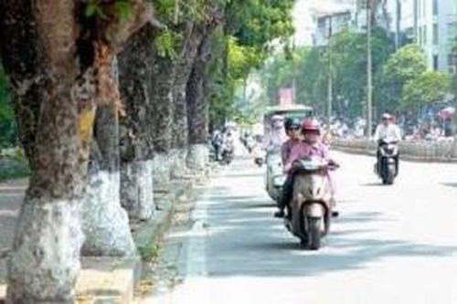 Chất lượng không khí Hà Nội trong tuần thay đổi thất thường