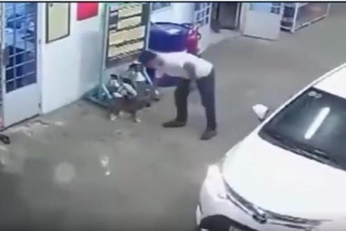 Thanh niên đi ôtô vào đổ xăng, tiện tay trộm chó mang về