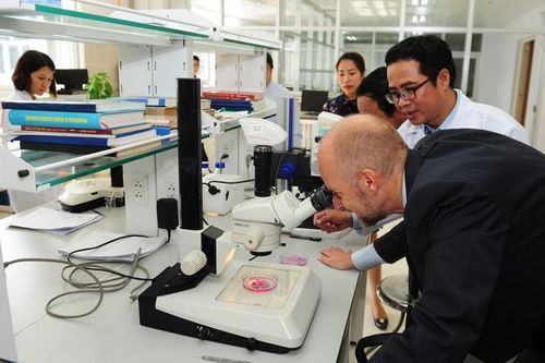 VPI tiên phong xây dựng hệ sinh thái đổi mới sáng tạo trong ngành Dầu khí