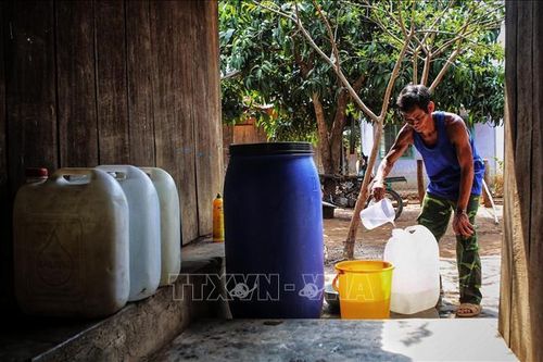 Ninh Thuận oằn mình chống khô hạn