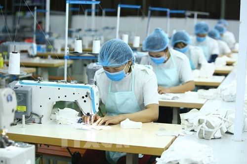 Tp Hồ Chí Minh: Nhu cầu nhân lực của các doanh nghiệp giảm mạnh