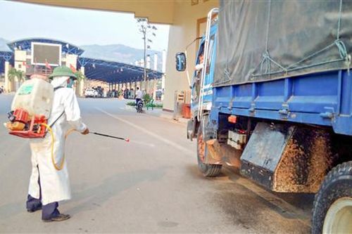 Việc lưu thông, vận chuyển, giết mổ lợn ở huyện Hướng Hóa diễn biến phức tạp