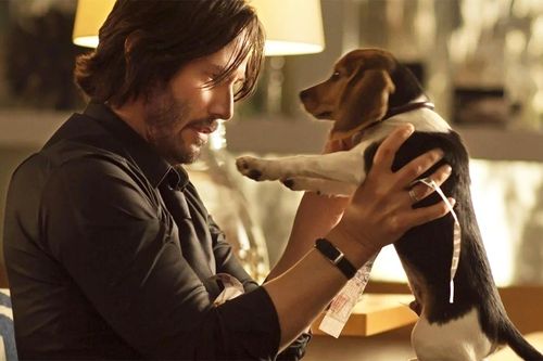Vì sao cái chết của chú chó trong 'John Wick' là chi tiết 'ăn tiền'?