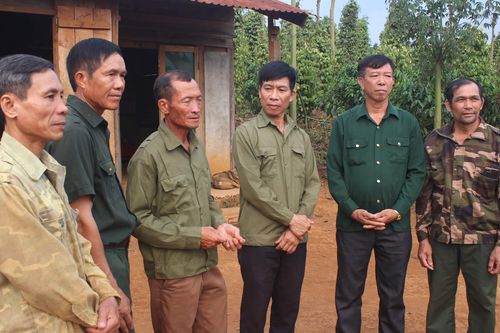Hủy án vụ 6 cựu chiến binh bị cáo buộc phá rừng