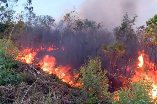 Đà Nẵng: Đang cháy đỉnh núi Sọ, lực lượng chức năng chưa thể tiếp cận