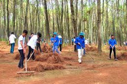 Đẩy mạnh phòng, chống cháy rừng mùa khô hạn