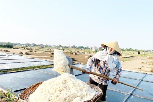 Mặn chát đời muối