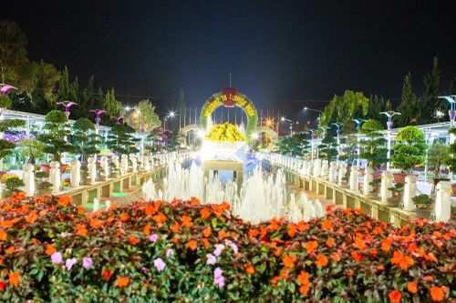 Đà Lạt: Hàng trăm loài hoa trên thế giới sẽ khoe sắc vào đêm
