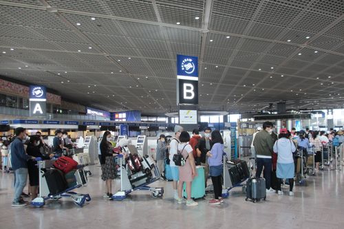 Đưa hơn 340 công dân Việt Nam từ Nhật Bản về nước