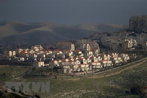 Palestine không coi Mỹ là trung gian hòa giải xung đột với Israel