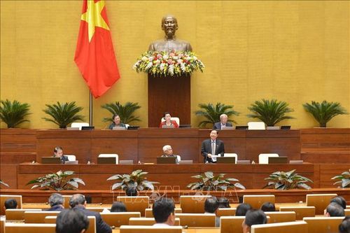 Dự án Luật Thanh niên (sửa đổi): Trách nhiệm, sứ mệnh của thanh niên trong xây dựng, bảo vệ đất nước