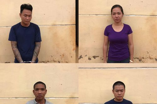 Tạm giam 4 đối tượng bắt trộm 27 con bò
