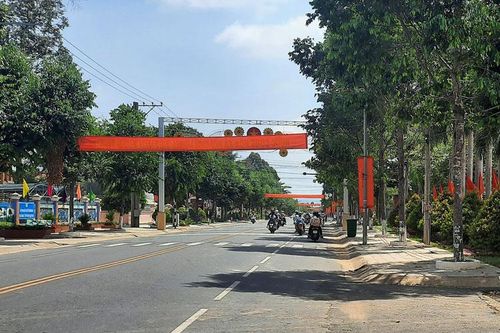 Cát Tiên tăng cường quản lý bảo vệ cây trồng phân tán