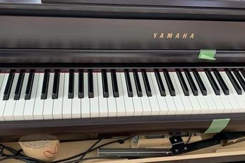 Tạm giữ container đàn piano nghi nhập lậu