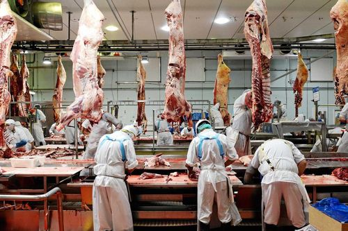 Australia hứng đòn trả thù thương mại từ Trung Quốc