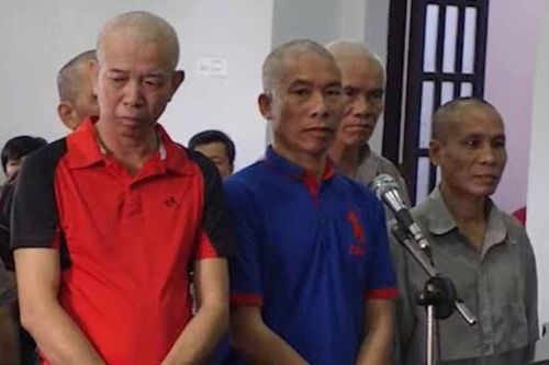 6 cựu binh bị buộc tội hủy hoại rừng: 'Chúng tôi không làm sai'