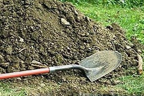 Đào mộ lấy hài cốt vì không đòi được nợ