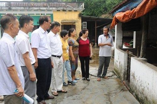 Hiệu quả từ mô hình hỗ trợ vốn vay ở Móng Cái