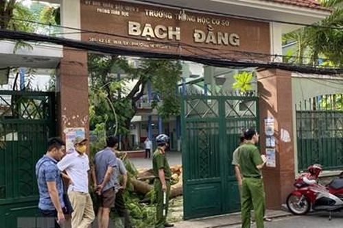 Bộ Giáo dục - Đào tạo chỉ đạo về an toàn trường học sau vụ cây đổ