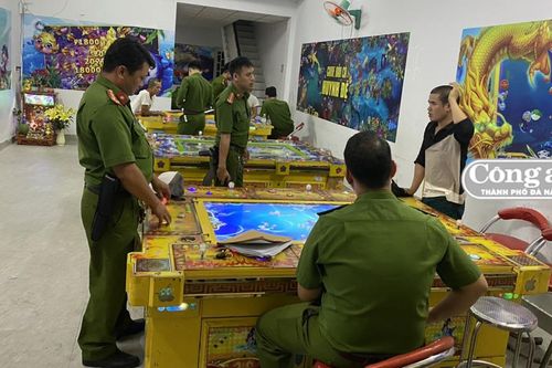 Săn 'cá trên bờ'
