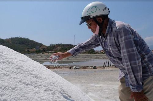 Đời Năm Hổ đỏ au vì 'vàng trắng'