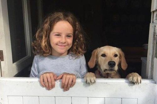 Bật cười với 'năng khiếu' hài hước của các loài động vật