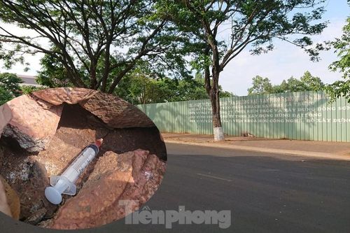 Bỏ hoang đất 'vàng' do năng lực yếu, hay cố tình không thu hồi?