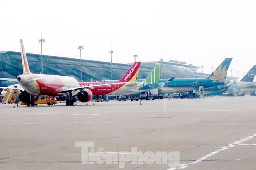 Nghiên cứu mở lại một số đường bay quốc tế sau dịch COVID-19