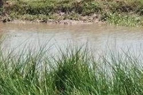 Hai chị em tử vong do đuối nước khi đi bắt ốc