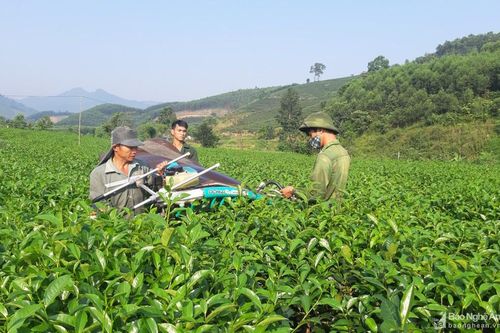Sức bật mới ở xã biên giới Thanh Thủy