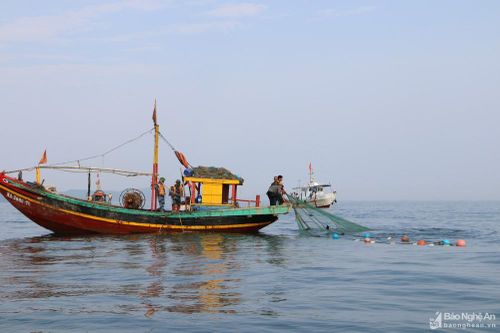 Nghệ An xử phạt 4 tàu cá vi phạm vùng đánh bắt hải sản