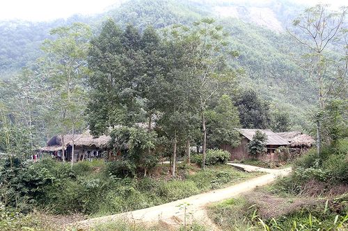 Đổi thay ở bản người Dao Đồng Măng