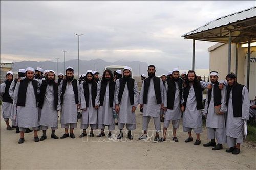 Chính phủ Afghanistan đã phóng thích 900 tù nhân Taliban