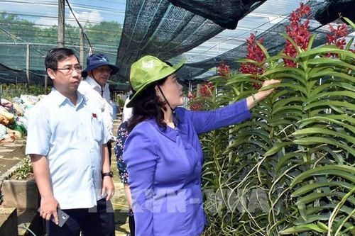 Hơn 55 tỷ đồng hỗ trợ dự án chuyển dịch cơ cấu nông nghiệp đô thị