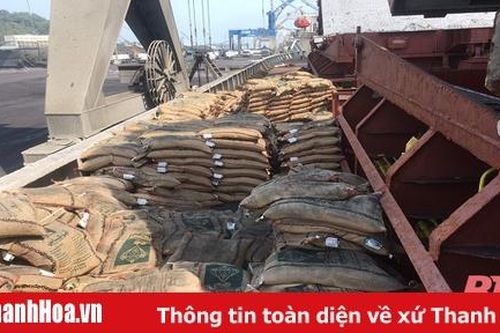 Cục Hải quan Thanh Hóa bắt giữ 41 tấn gạo không có nguồn gốc xuất xứ